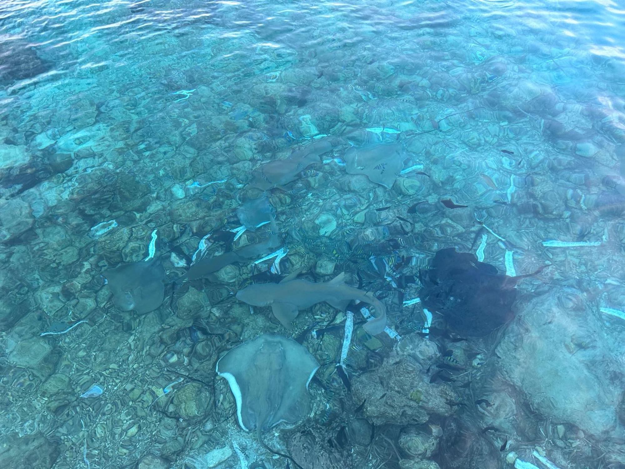 Beach Veli Ukulhas Exterior foto